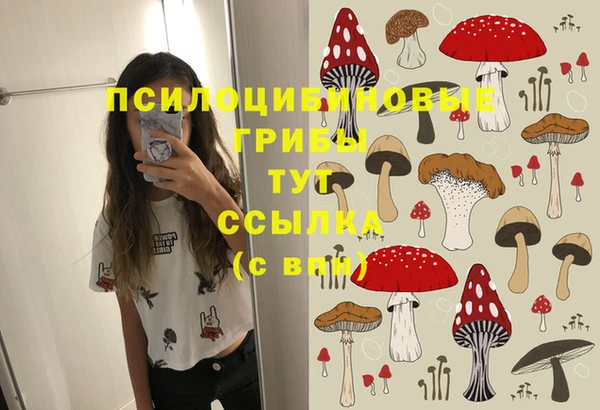 тгк Богородск