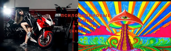 тгк Богородск